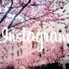 Ahora puedes publicar tus fotos en Instagram desde tu PC