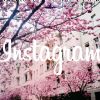 Ahora puedes publicar tus fotos en Instagram desde tu PC Ahora puedes publicar tus fotos en Instagram desde tu PC