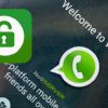 WhatsApp te avisará si alguien te está espiando WhatsApp te avisará si alguien te está espiando