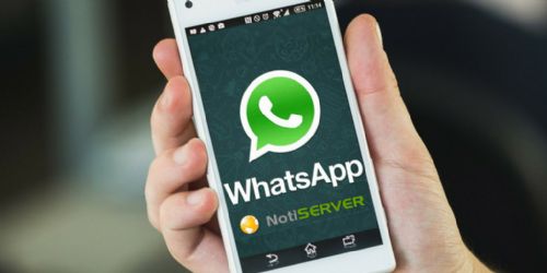 WhatsApp ahora incluye respuestas rápidas y colores de fondo